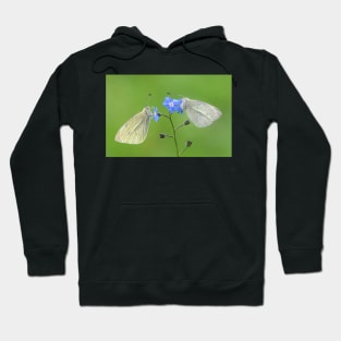 Two Small White Butterflies on a Forget-me-not Flower Hoodie